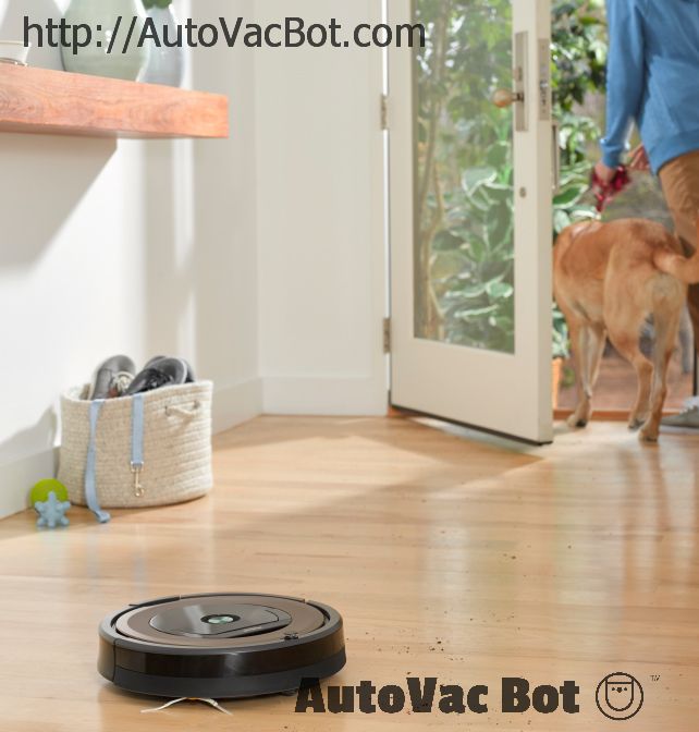 Roomba_R890_Pewter_CH__dog_foyer